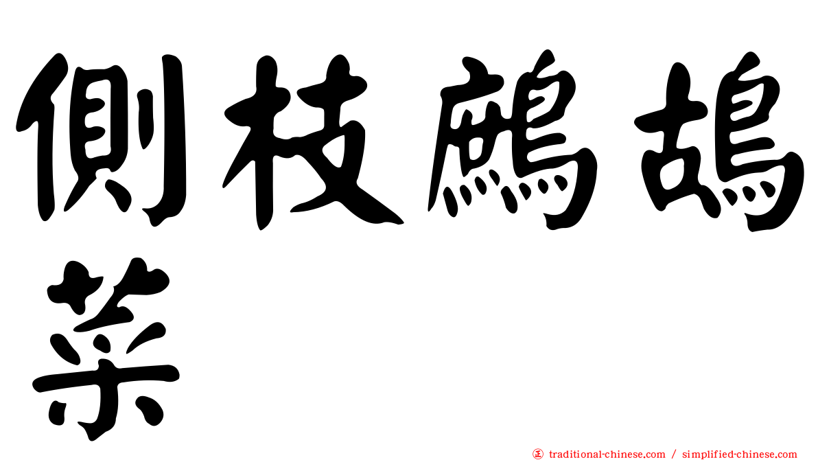 側枝鷓鴣菜