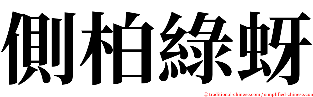 側柏綠蚜 serif font
