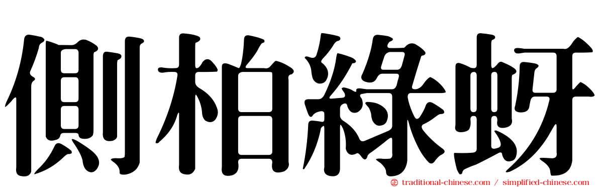 側柏綠蚜