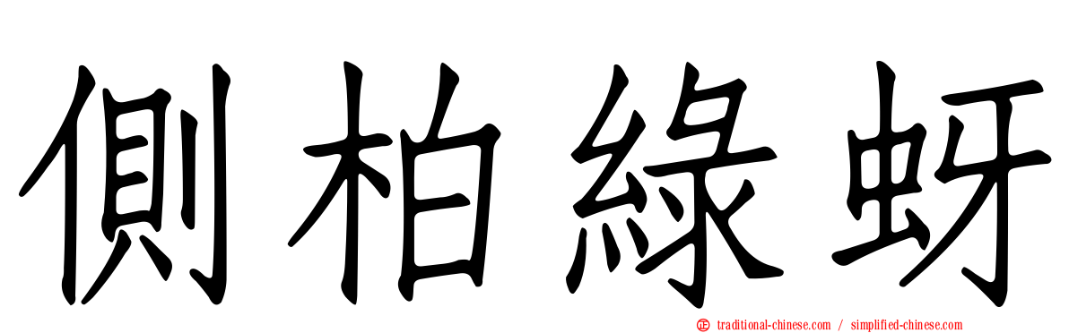 側柏綠蚜