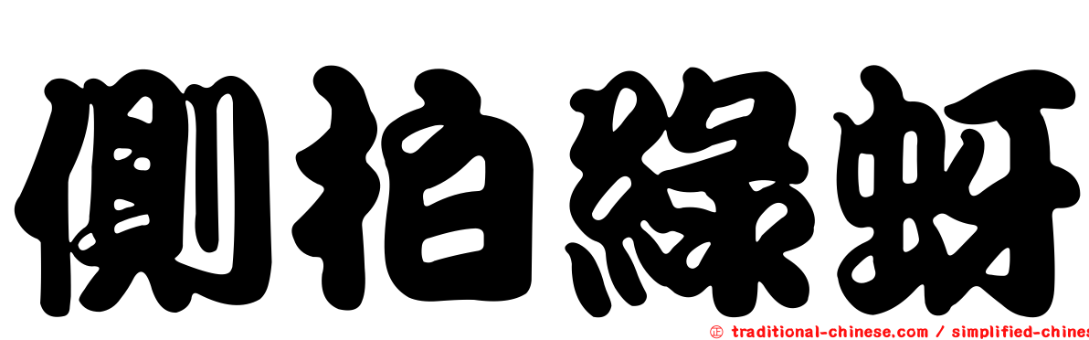 側柏綠蚜