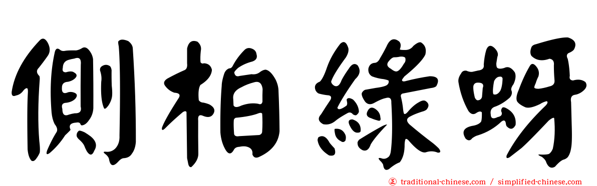 側柏綠蚜