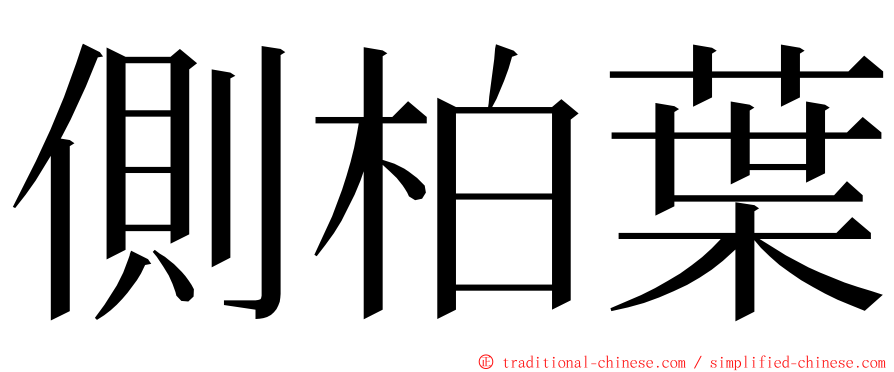 側柏葉 ming font