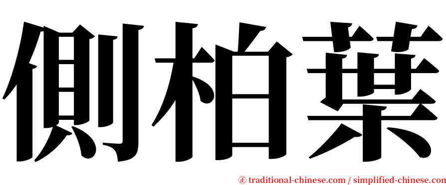 側柏葉 serif font