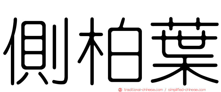 側柏葉