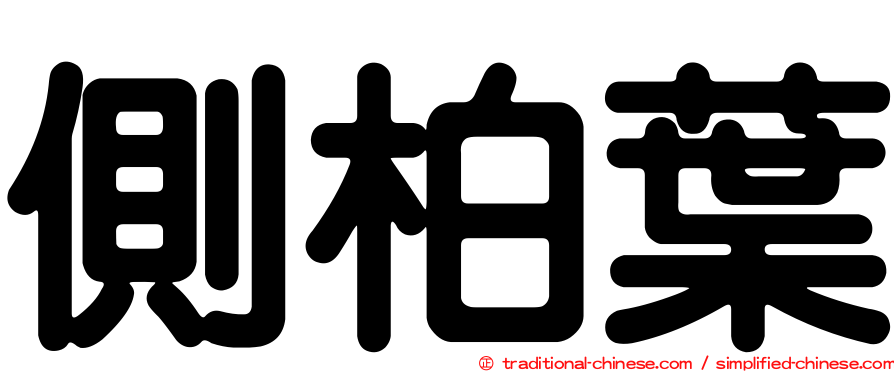 側柏葉