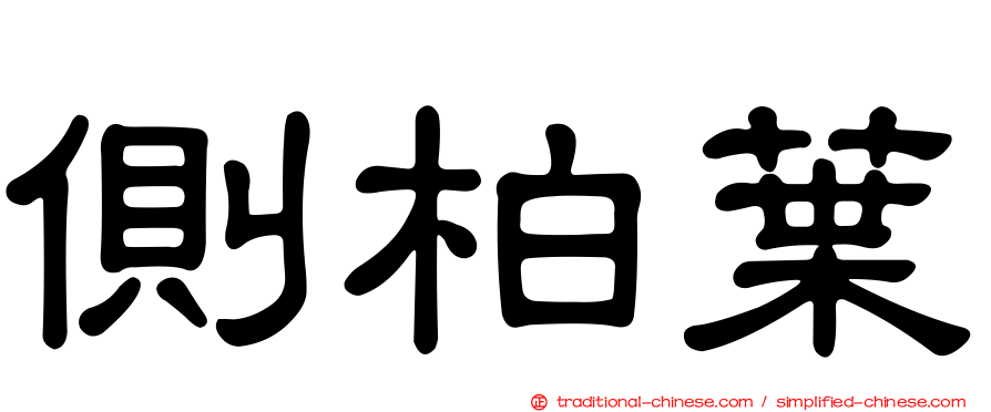 側柏葉