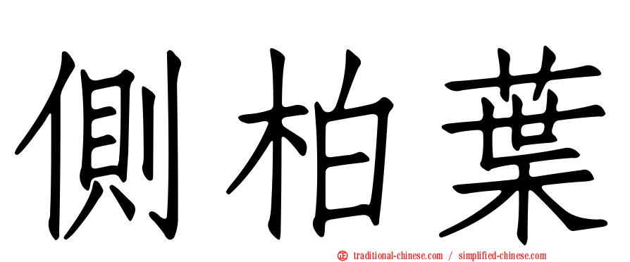 側柏葉