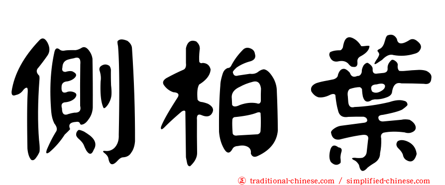 側柏葉