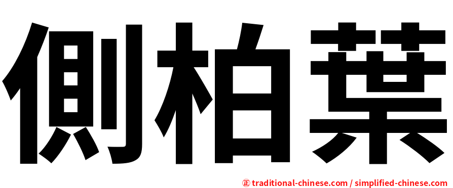 側柏葉