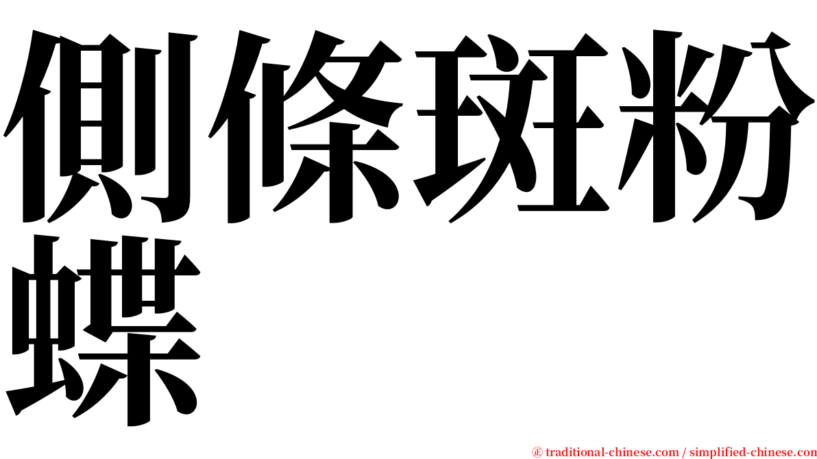 側條斑粉蝶 serif font
