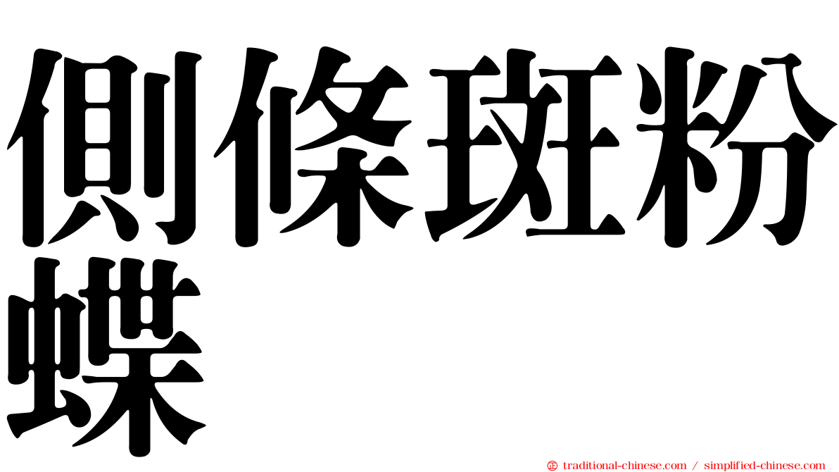 側條斑粉蝶