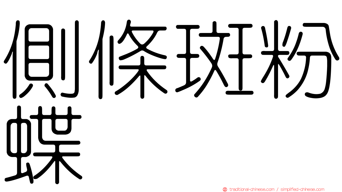 側條斑粉蝶