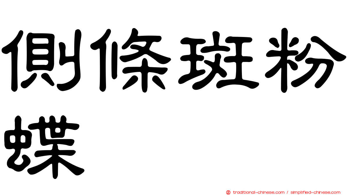 側條斑粉蝶