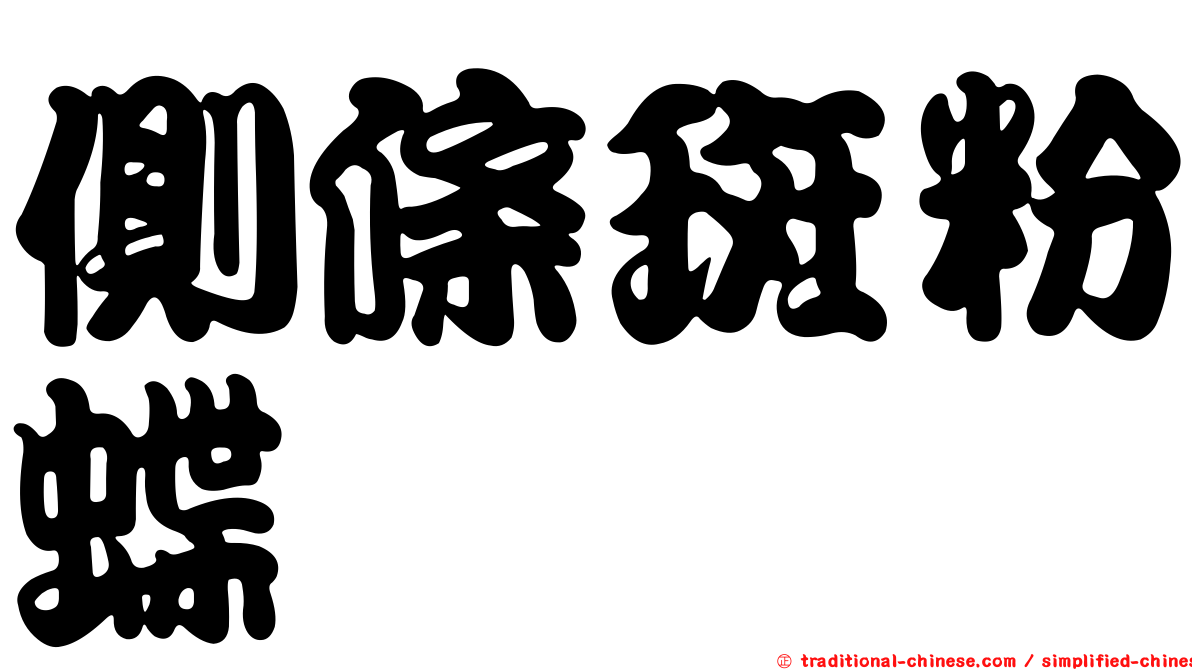 側條斑粉蝶