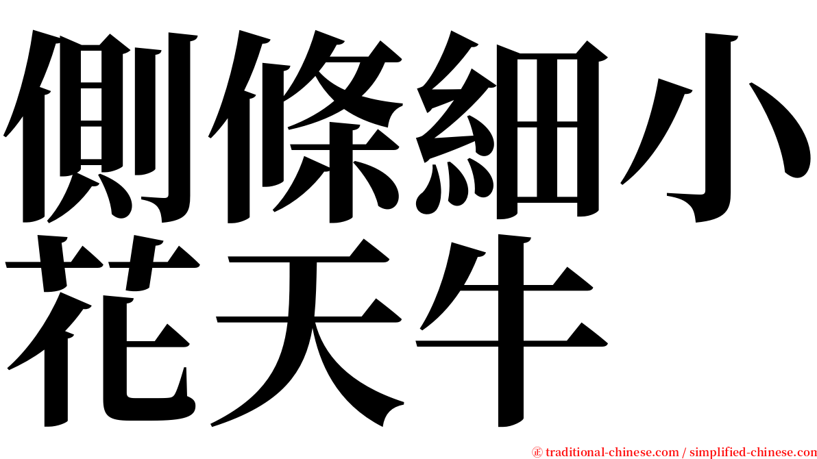 側條細小花天牛 serif font