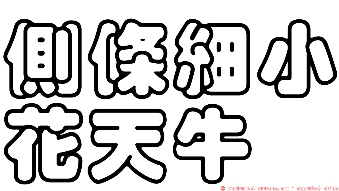 側條細小花天牛
