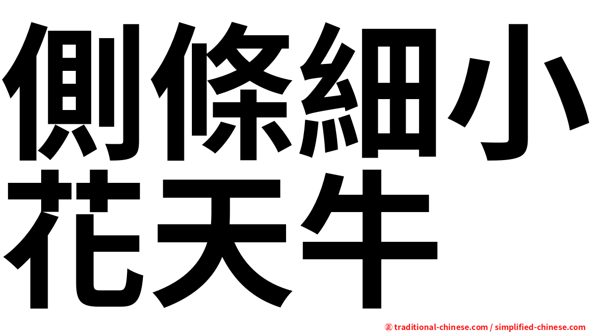 側條細小花天牛