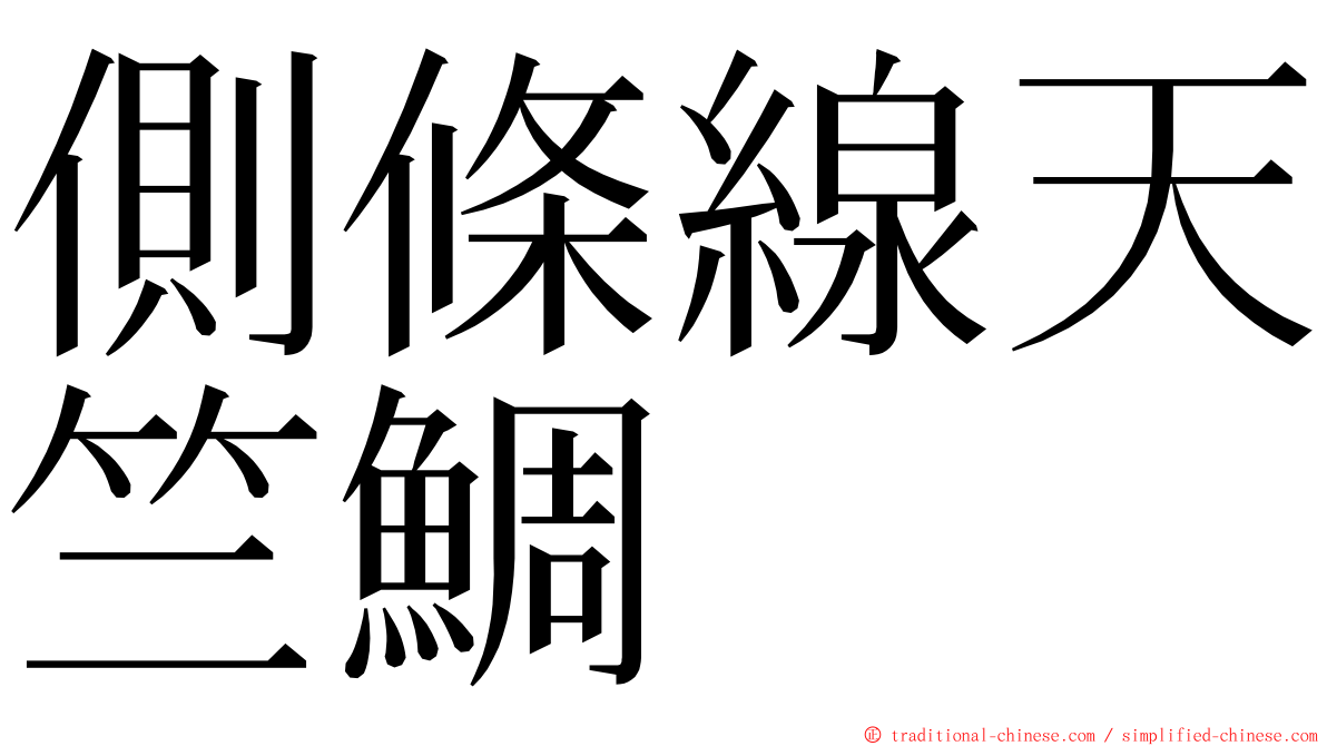 側條線天竺鯛 ming font
