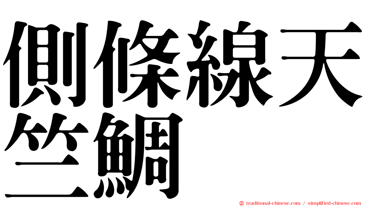 側條線天竺鯛