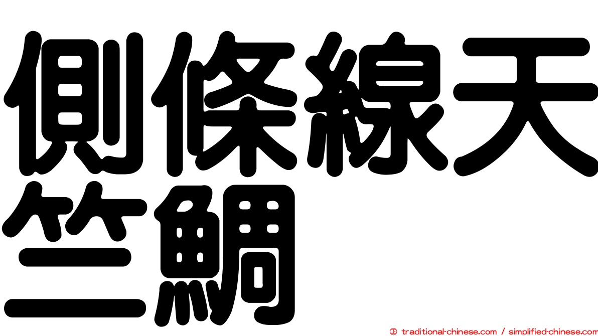 側條線天竺鯛