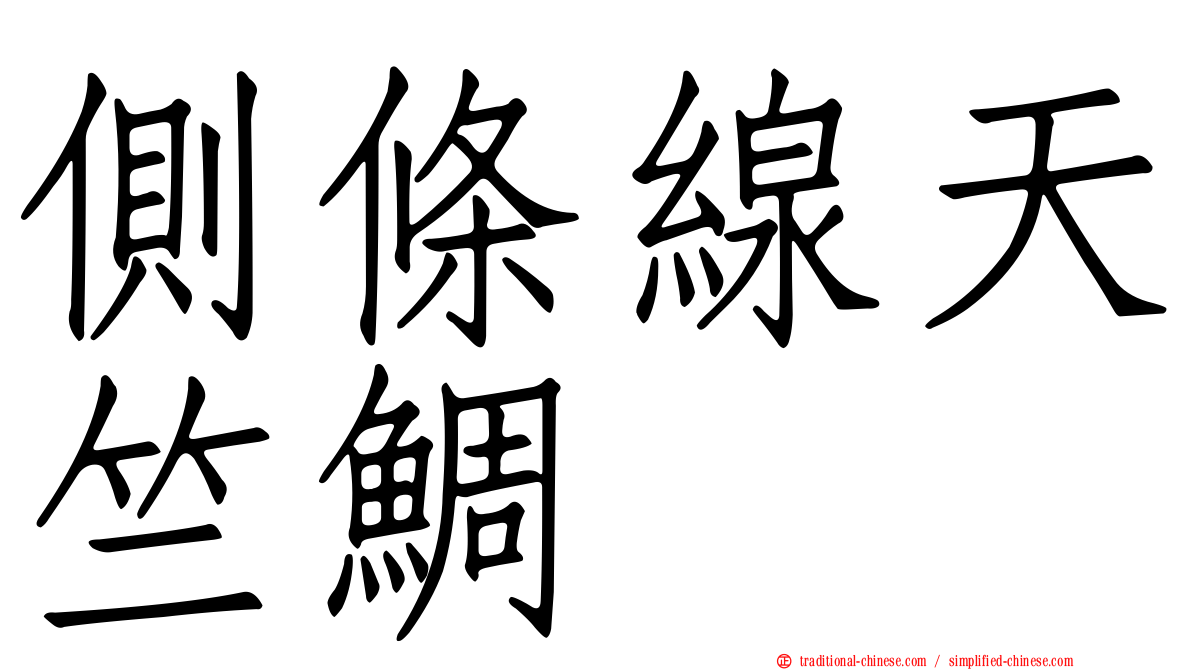 側條線天竺鯛