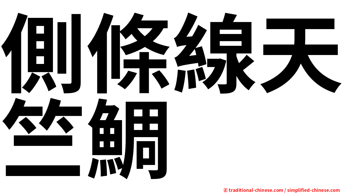 側條線天竺鯛
