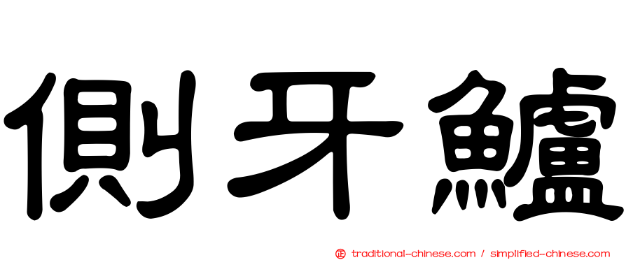 側牙鱸
