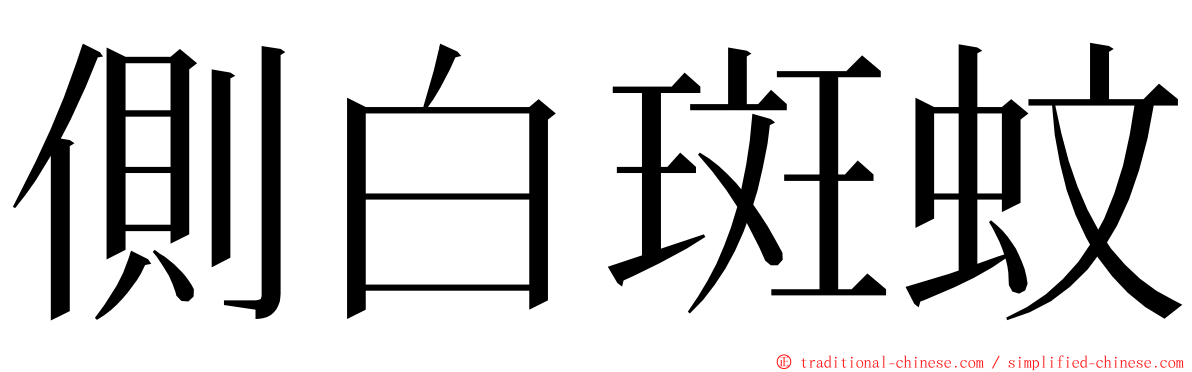 側白斑蚊 ming font