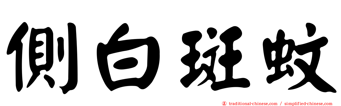 側白斑蚊