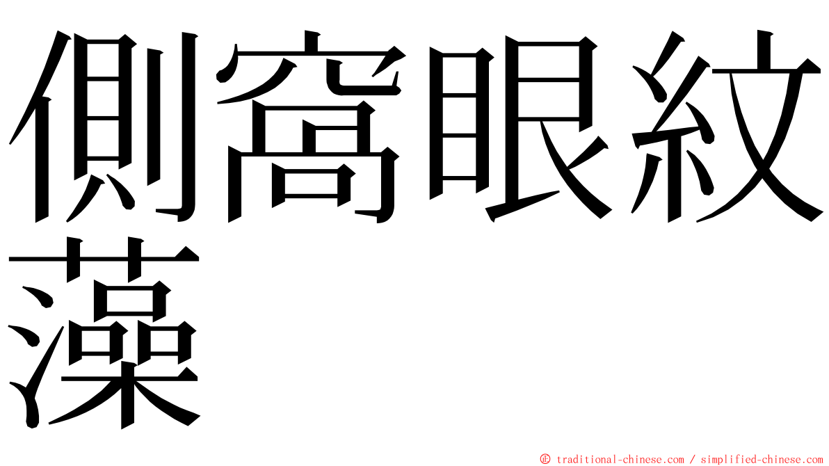 側窩眼紋藻 ming font