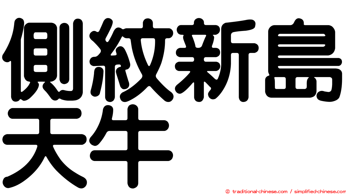 側紋新島天牛