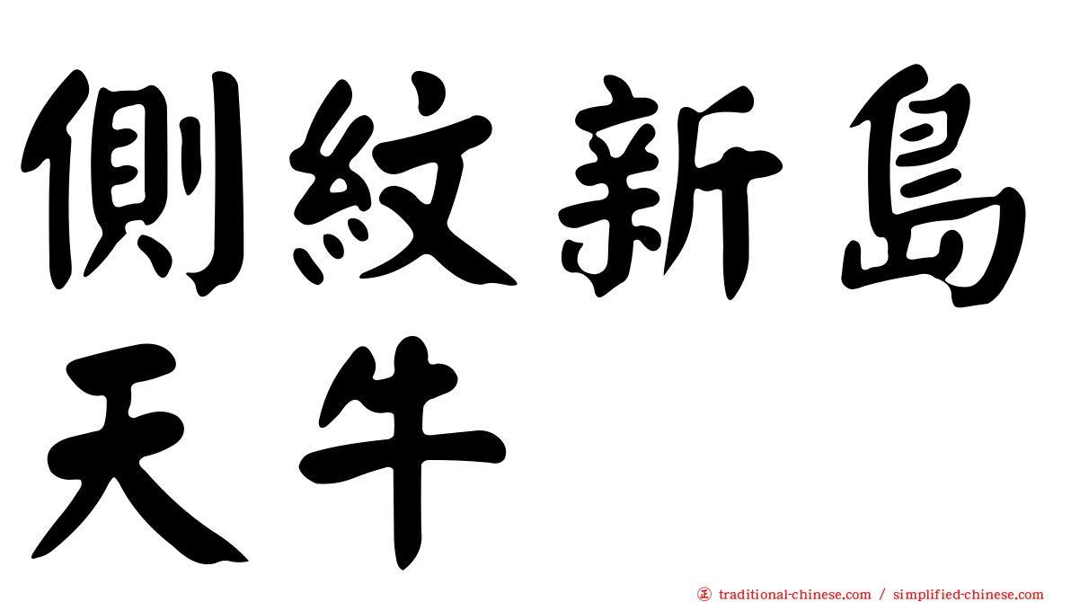 側紋新島天牛