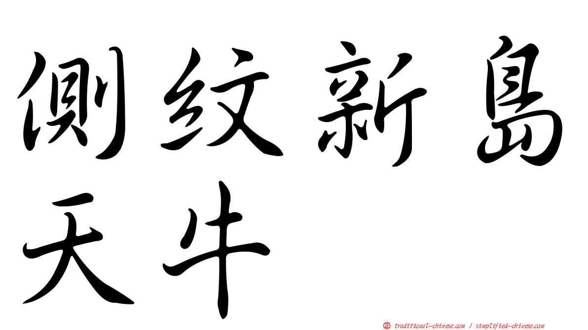 側紋新島天牛