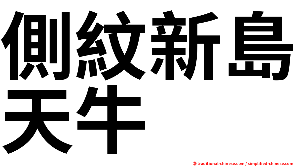 側紋新島天牛
