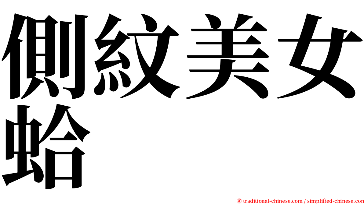 側紋美女蛤 serif font