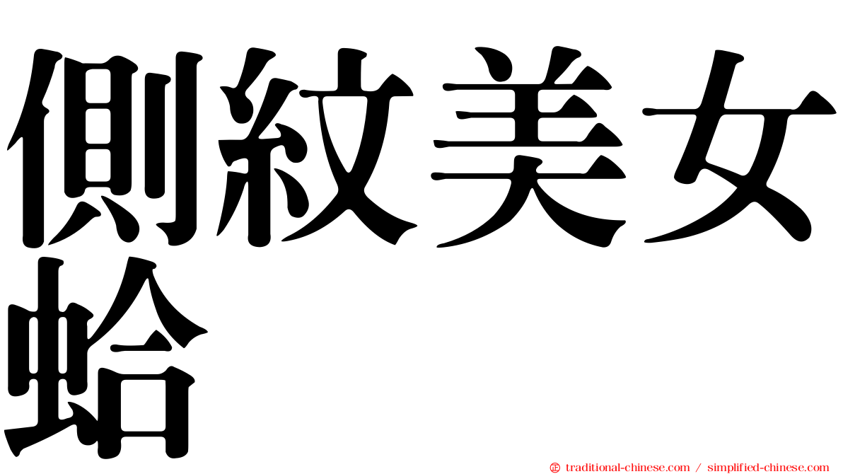 側紋美女蛤