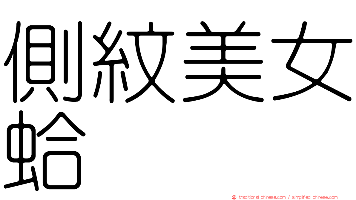 側紋美女蛤