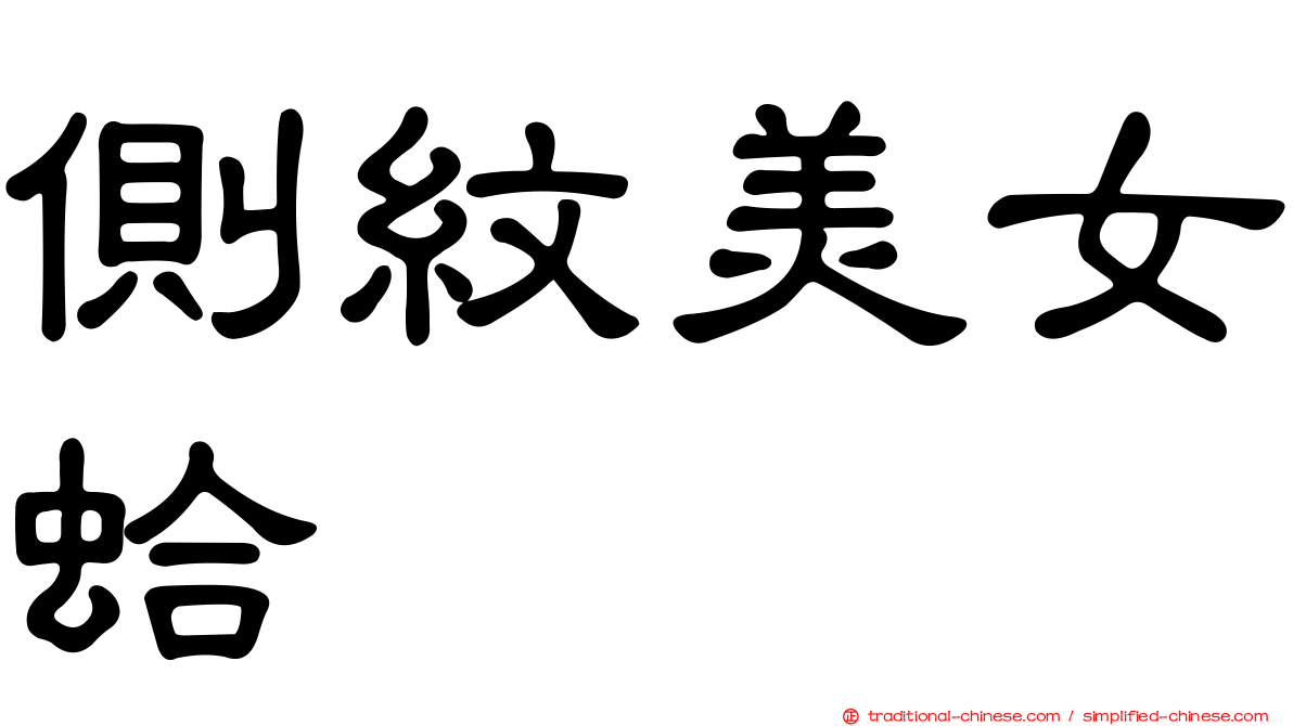 側紋美女蛤