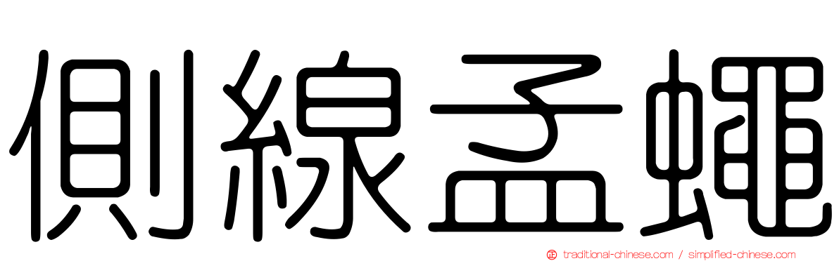側線孟蠅