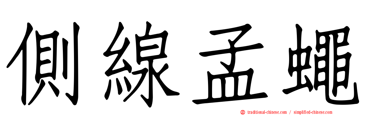 側線孟蠅
