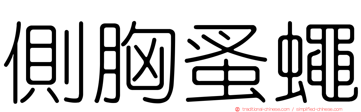 側胸蚤蠅