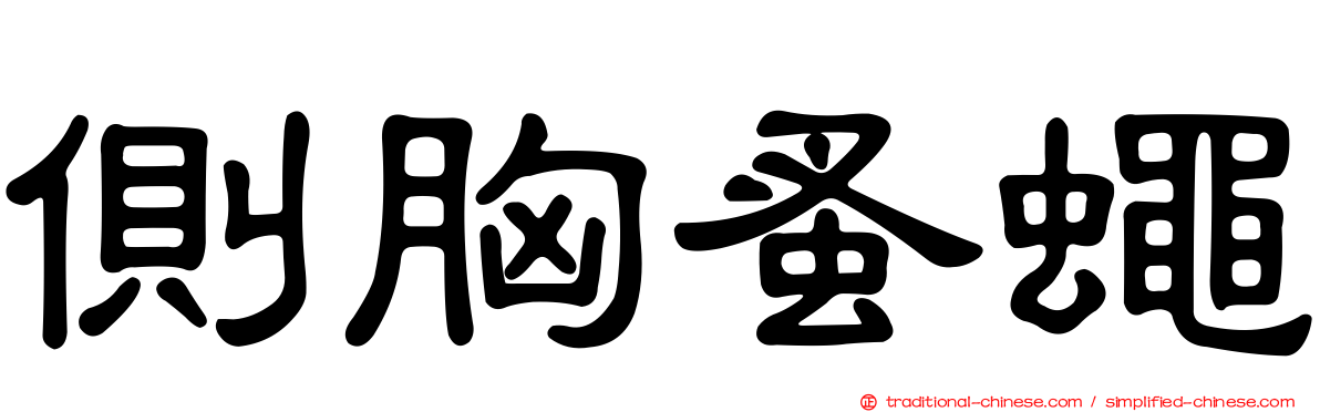 側胸蚤蠅