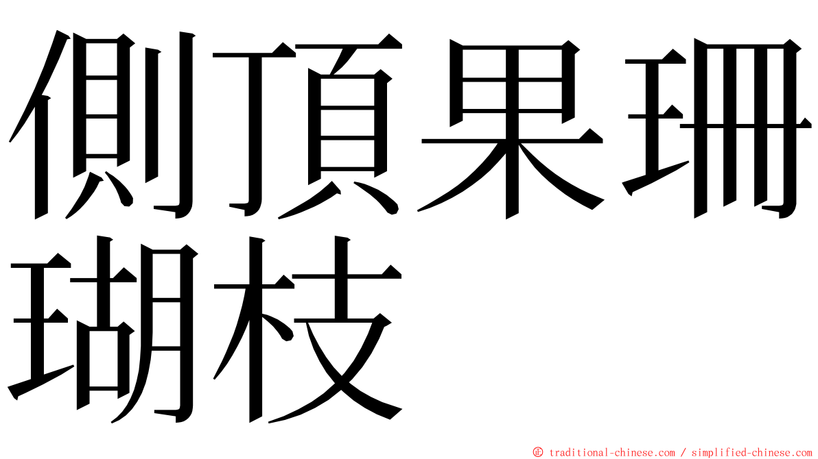 側頂果珊瑚枝 ming font