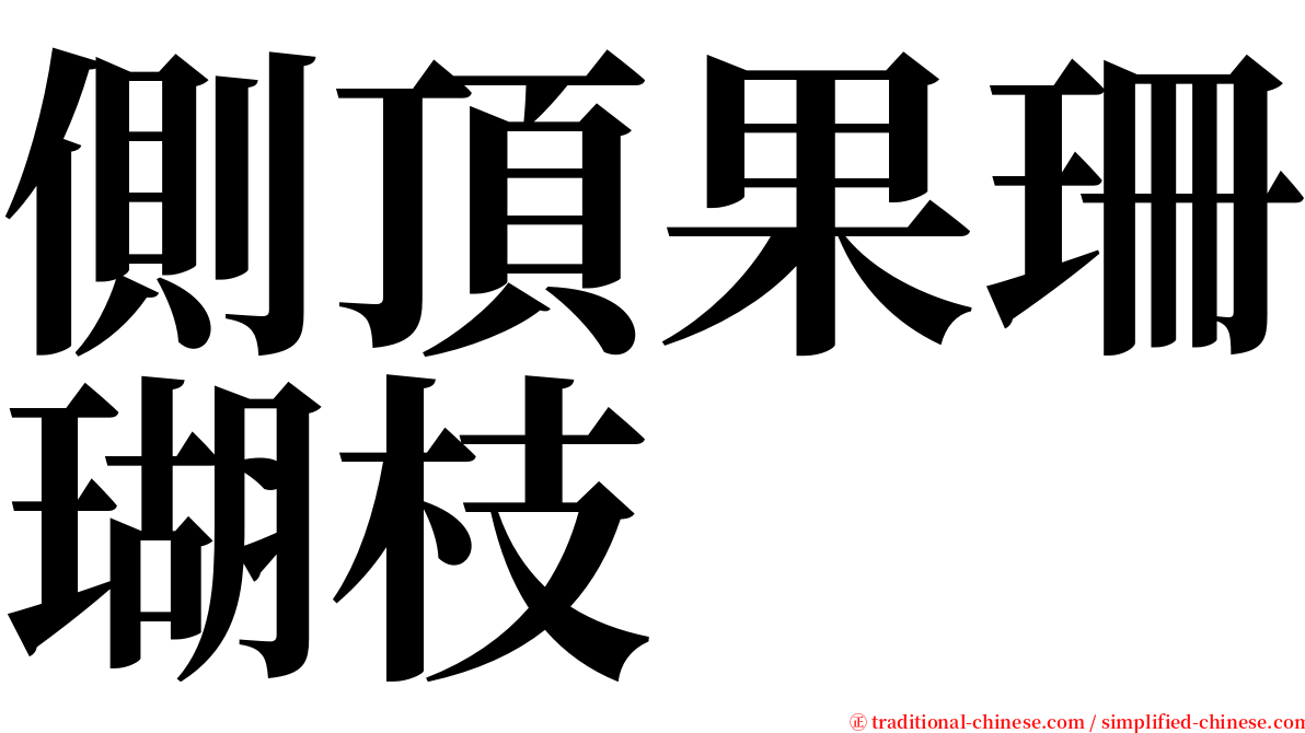 側頂果珊瑚枝 serif font