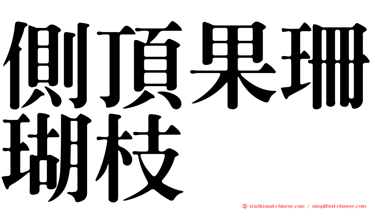 側頂果珊瑚枝