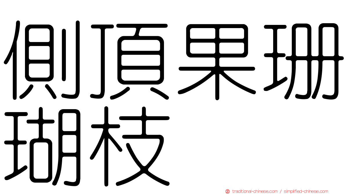 側頂果珊瑚枝