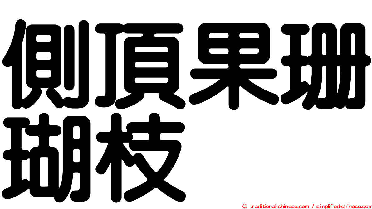 側頂果珊瑚枝