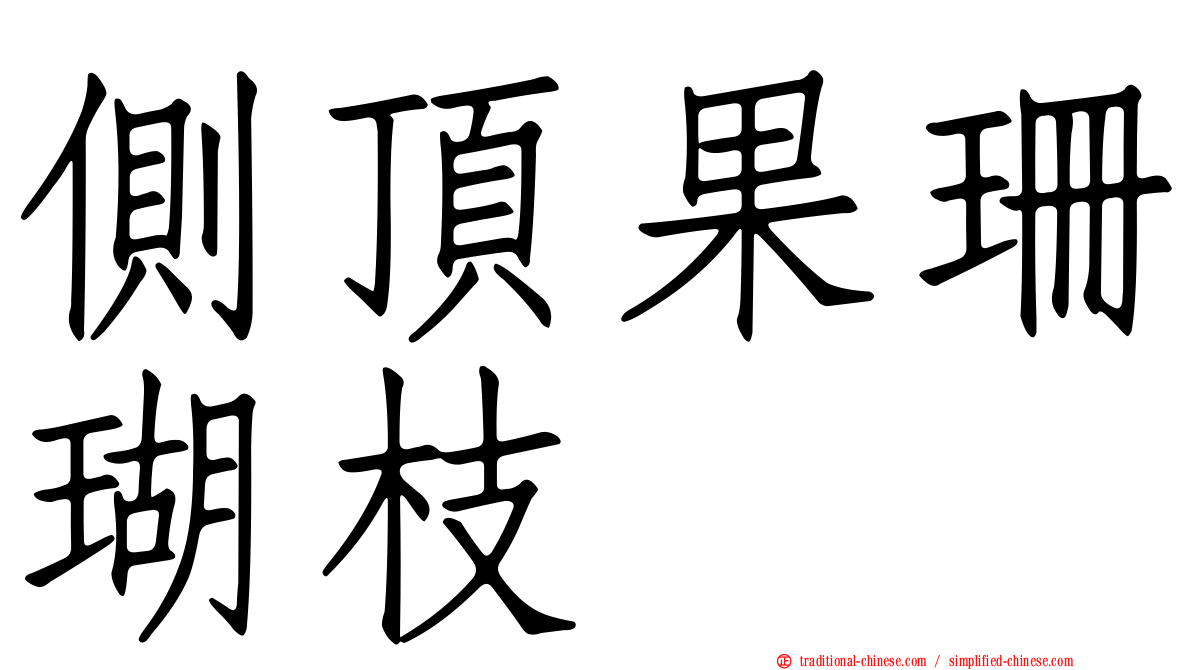 側頂果珊瑚枝