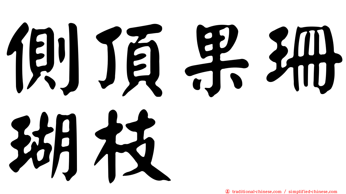 側頂果珊瑚枝
